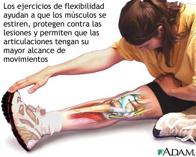 Flexibilidad: Capacidades físicas básicas en el entrenamiento y la actividad física diaria