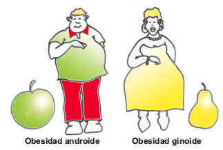 Clasificación y tipos de obesidad: Síntomas, enfermedades y problemas relacionados y tratamientos más adecuados.
